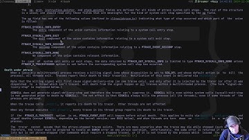 Working on a Zig Debugger