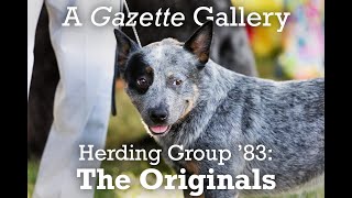 A Gazette Gallery • Herding Group ’83: The Originals