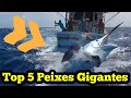 Top 5 Maiores Peixes Já Pescados no Mar e Filmados