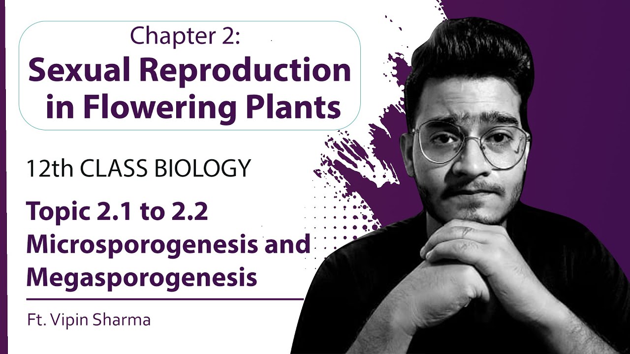 Topic 2.1-2.2: Microsporogenesis and Megasporogenesis | Sexual Reproduction in Flowering Plants