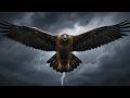 SoundsOfEnigma Eagle Rises Official Video SoundsOfEnigma Eagle Rises Official Video