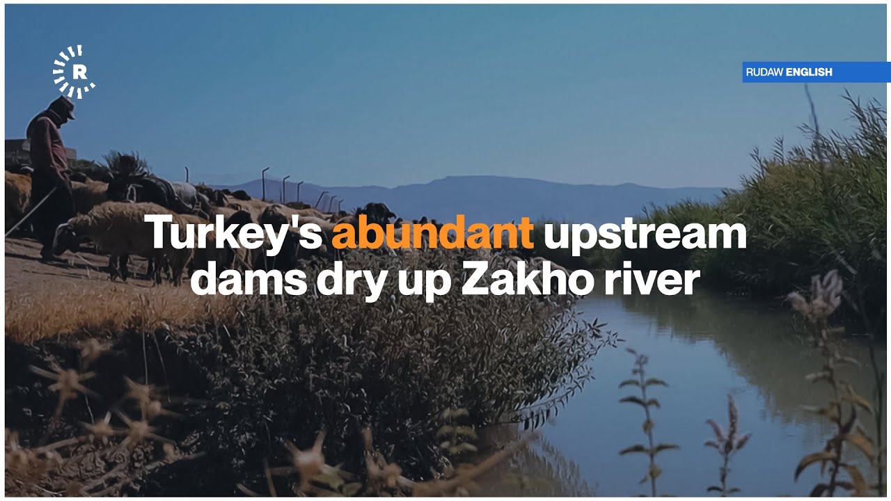 Turkeys abundant upstream dams dry up Zakho river YouTube