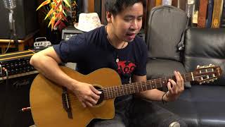2006 Takamine PTU608N N Nylon String Hybrid.