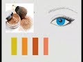Тени для глаз: Подбор теней по цвету глаз (макияж)