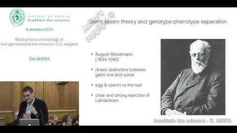 [EN] Conférence - E. MISKA - Mechanisms and biology of transgenerational transmission in C. elegans