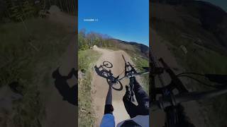 Greenhill Whips &amp; Tabletops