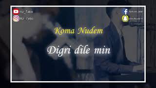 Koma Nudem-Digri Dile Min Resimi