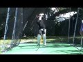 Cricket montreal  outdoor net session