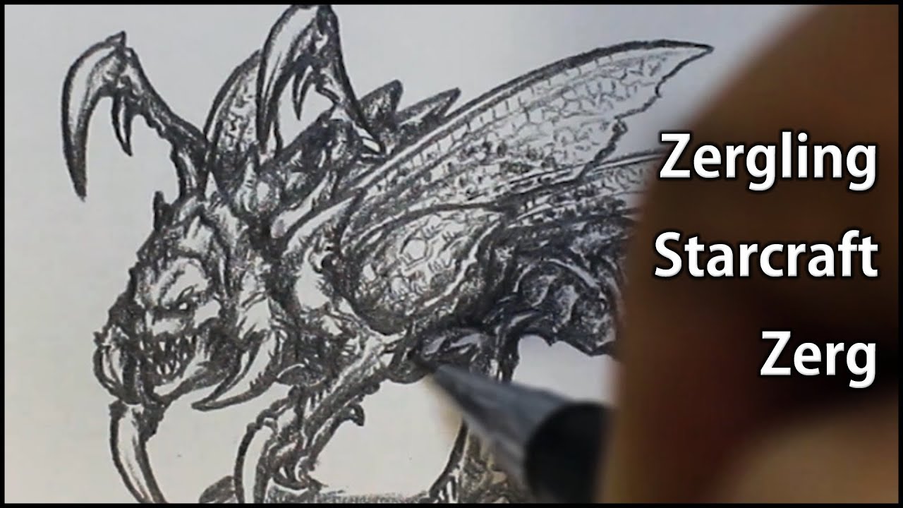 ArtStation - Freehand Sketching [Starcraft 2 Zerg]