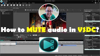 How to MUTE audio in VSDC Free Video Editor?