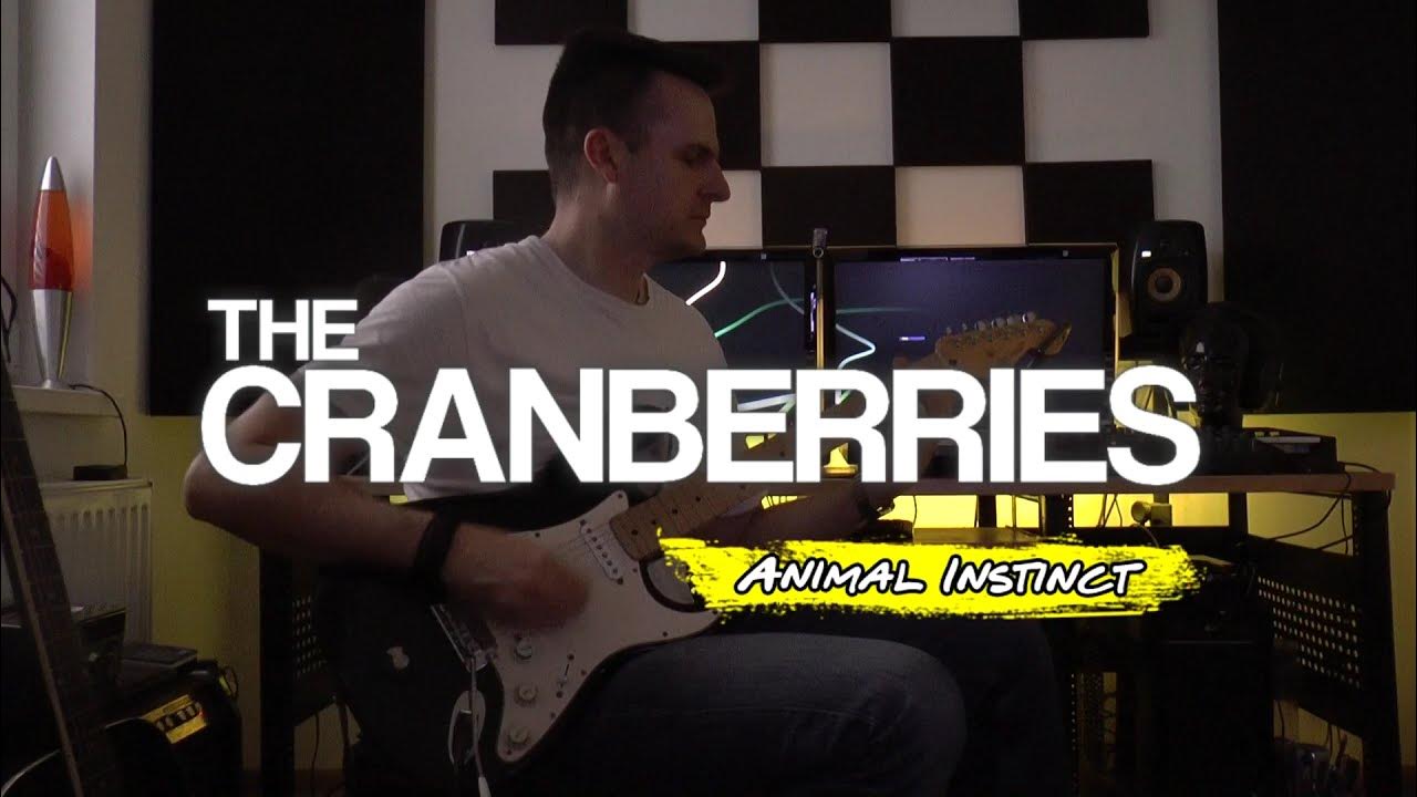 The Cranberries Animal Instinct (Guitar Cover) YouTube