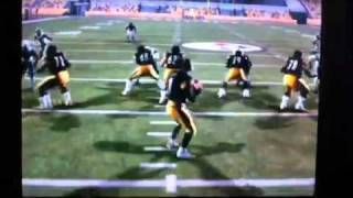 Hines Ward Trucked