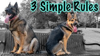 3 Things to Remember When Training Your German Shepherd!