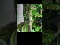 GECKO Masters Know This One Weird Trick to Find Them Fast