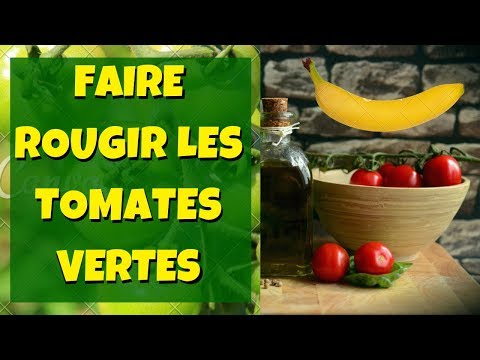 Vidéo: Comment Faire Cuire L'adjika à Partir De Tomates Vertes