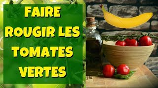 Comment Faire Rougir Des Tomates Vertes ? Comment Faire Rougir Des Tomates Vertes ?