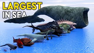 Shocking Bloop Size Comparison | Sea Monster