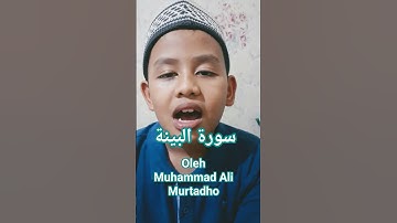 سورة البينة