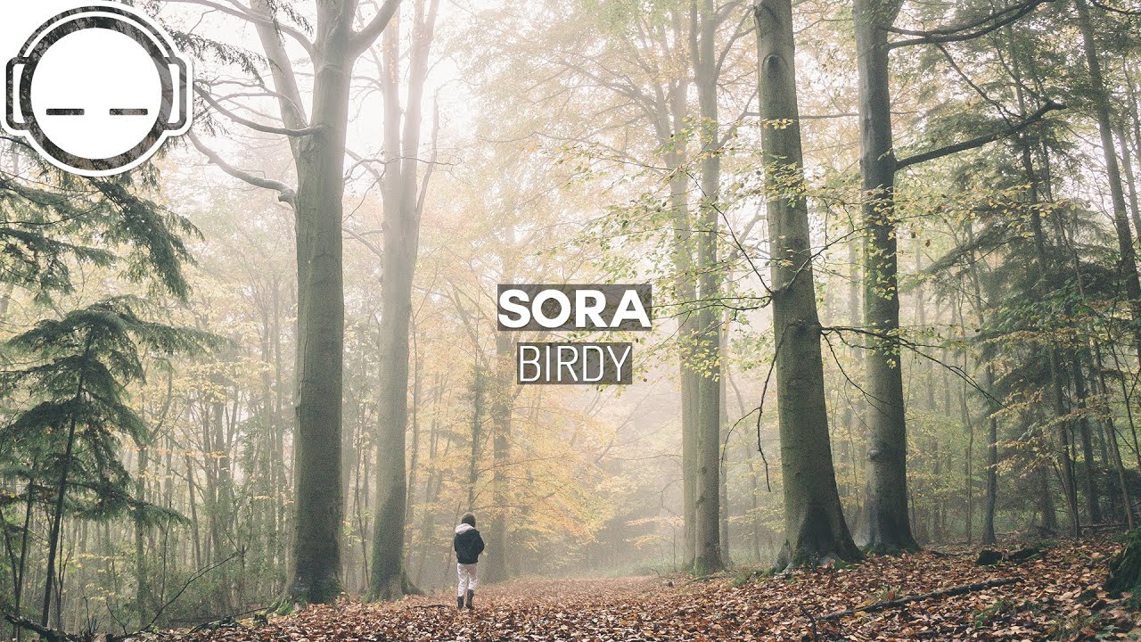 SORA - Birdy ~ Ambient deep bass chill music - YouTube