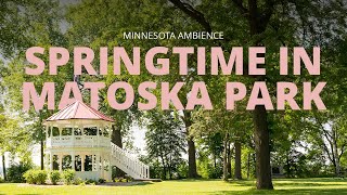 Peaceful Spring Ambience In The Park | Minnesota Ambience