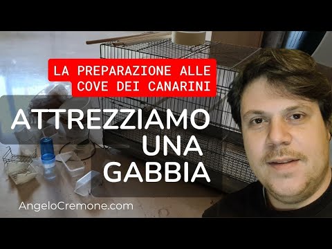 Video: Dovresti mettere una coperta sopra una gabbia per uccelli?