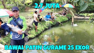 MANCING BORONGAN IKAN BAWAL INDUK  PATIN GURAME 25 EKOR !! BARENG ANGLER JAKARTA