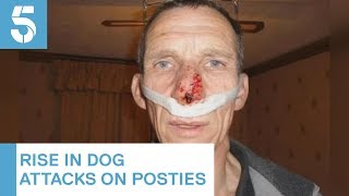 Royal Mail Warns Of Increase In Dog Attacks On Postal Workers 5 News