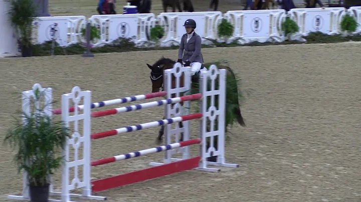 Video of IDYLLIC ridden by AIMEE KEMPER from ShowN...