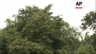 London mayor Boris gets stuck on zip wire
