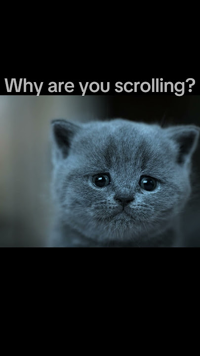 Go do something else, please...