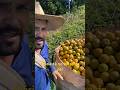 #agro #diadia