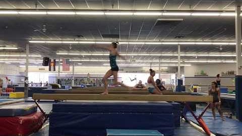 Elizabeth Fulton- Switch leap switch half in progress