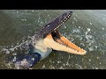 Mosasaurus vs all dinosaurs  indominus rex trex spinosaurus