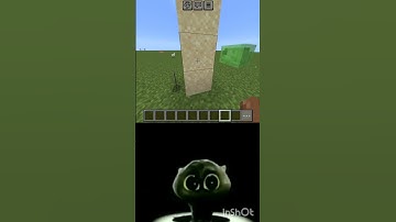 Minecraft logic [scatman] #minecraft #viral #scatman #logic #shorts