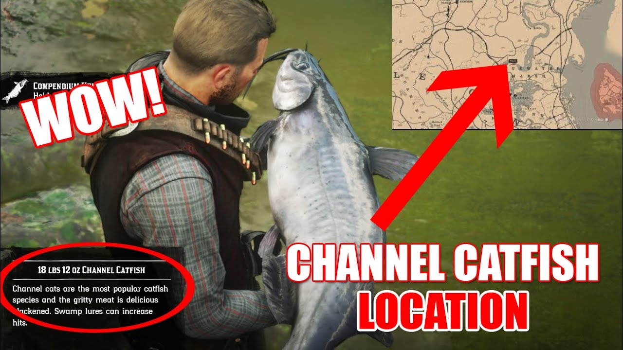 Where To Find Channel Catfish Read Dead Redemption 2 Channel Catfish Location YouTube