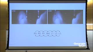 A Functional Cortical Network For Sensorimotor Sequence Generation