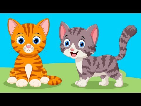 Kedi Kardeş Nerdesin? - En Güzel Çocuk Şarkıları