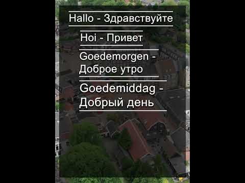 Как приветствовать на нидерландском? #нидерландскийязык #переводслов # ...