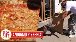Barstool Pizza Review - Andiamo Pizzeria (Scottsdale, AZ) by One Bite Pizza Reviews 255,671 views 2 weeks ago 5 minutes, 46 seconds
