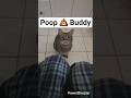 Poop 💩 Buddy #cat #cute #lifeisbutadream #pets #poop #animals #buddy