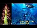 Dubai Burj Khalifa 2020 Fireworks | Under Water Zoo | New year Celebrations Dubai