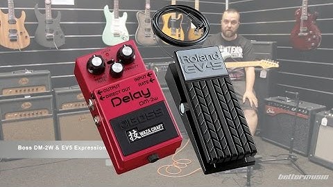 DM-2W Analog Delay and EV5 Expression Pedal Demo | Better Music