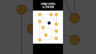 시력을 지켜주는 눈 근육 운동