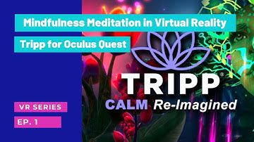 Immersive VR for Brain Injury Rehabilitation | Success Rehabilitation | Oculus Rift