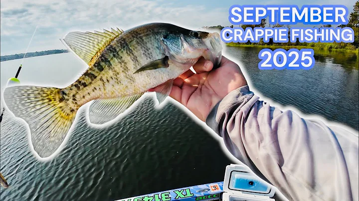 WHERE TO FIND & CATCH CRAPPIE IN SEPTEMBER‼️ FALL CRAPPIE TRANSITION 🍂