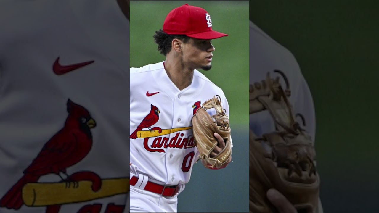 2025 ZiPs Projections for the NL Central. 