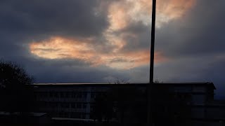 野百合-禮韋thehopend(lyrics)