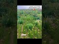 عنت علي امي ونمشي تصويري ربيع قرية الجهمان اكسبلور