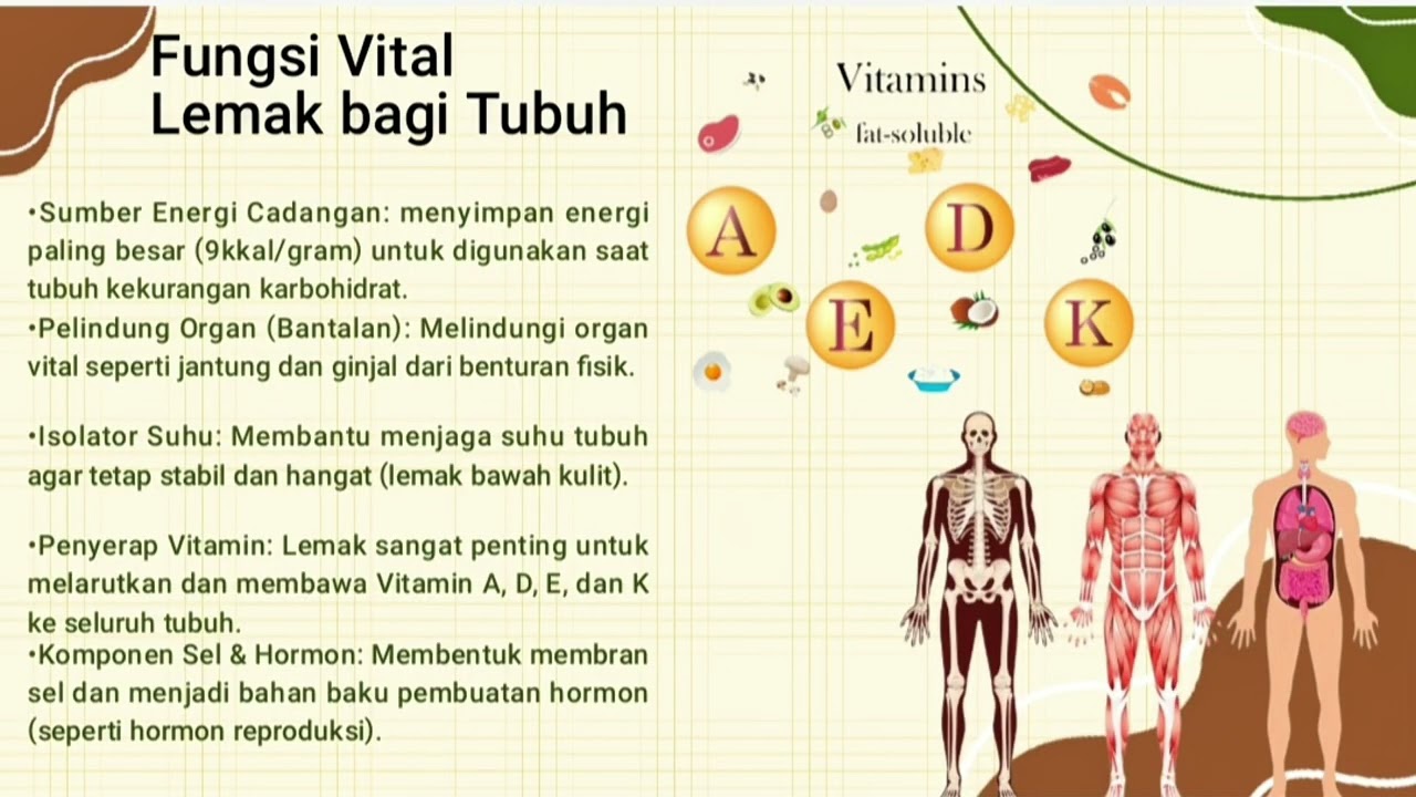  Lemak (Lipid): Kawan atau Lawan? — TUGAS KIMIA