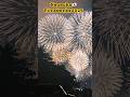 Nagaoka Fireworks2025🇯🇵#花火大会 #長岡花火 #คนไทยในญี่ปุ่น #traveljapan #fireworks #พลุ #จุดพลุ